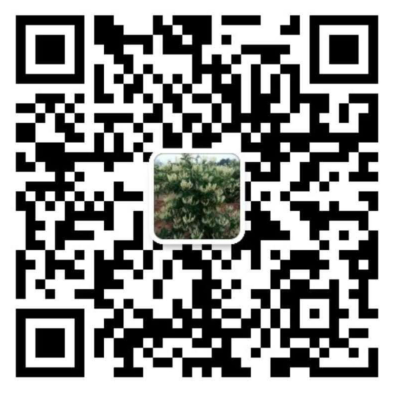 功率分析儀,功率計(jì),功率表,電機(jī)測(cè)試,電機(jī)檢測(cè)-微信二維碼